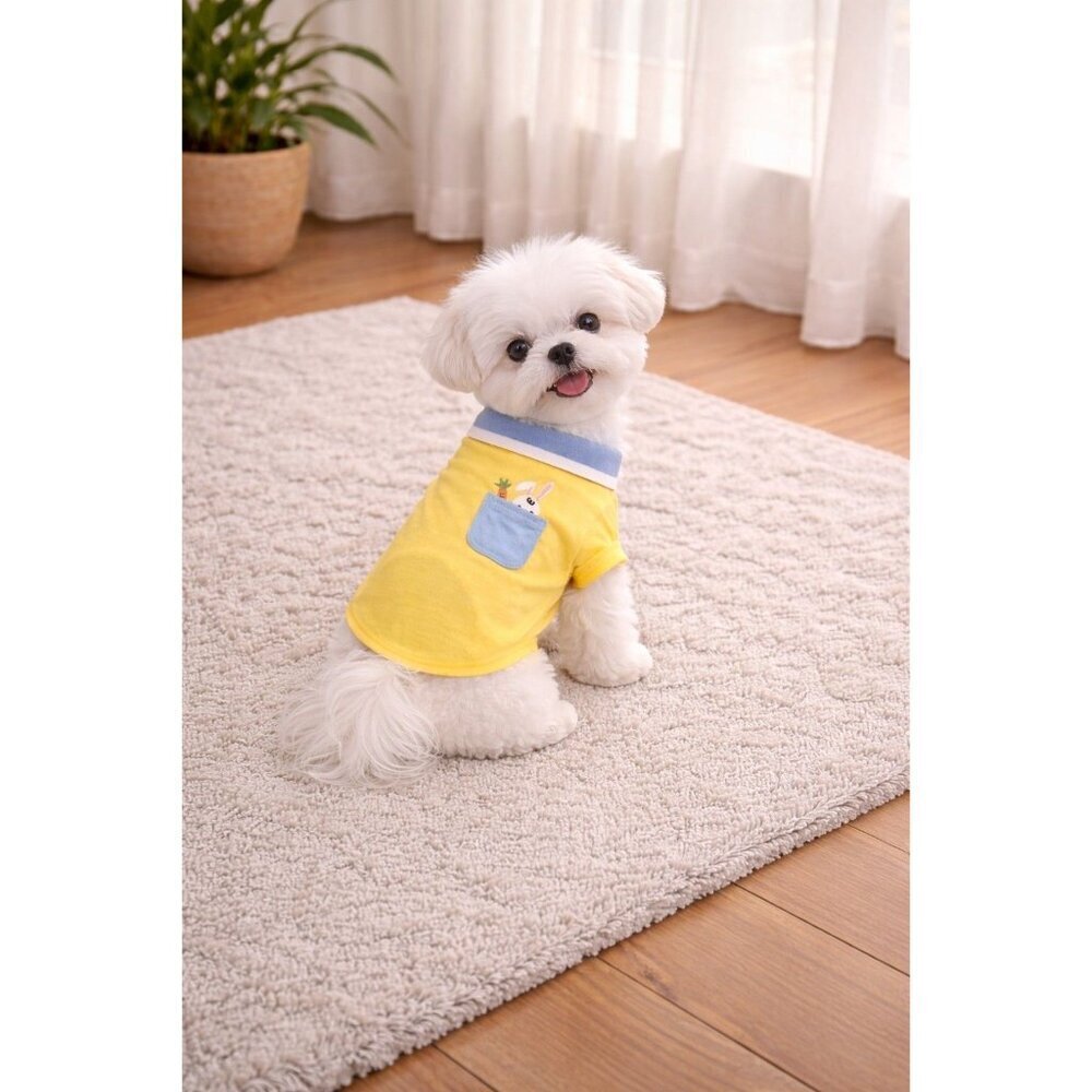 NEW Yellow Dog Apparel CLOTHING Easter Bunny Shirt W/ Blue Collar Top NWT